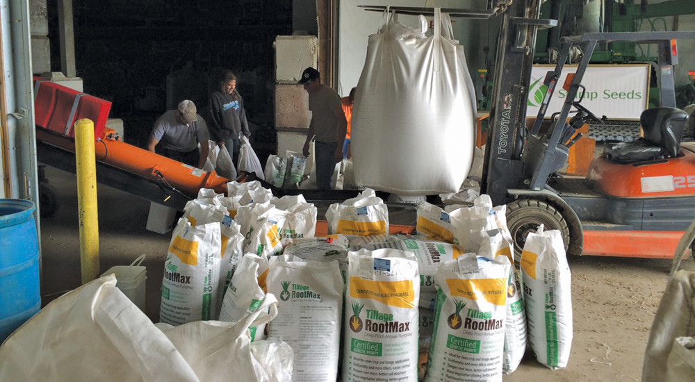 Blending seed for customers at Stamp Seeds at Enchant, Alberta.