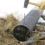 Nail spikes to bottom of anchor post to act like rebar in cement.