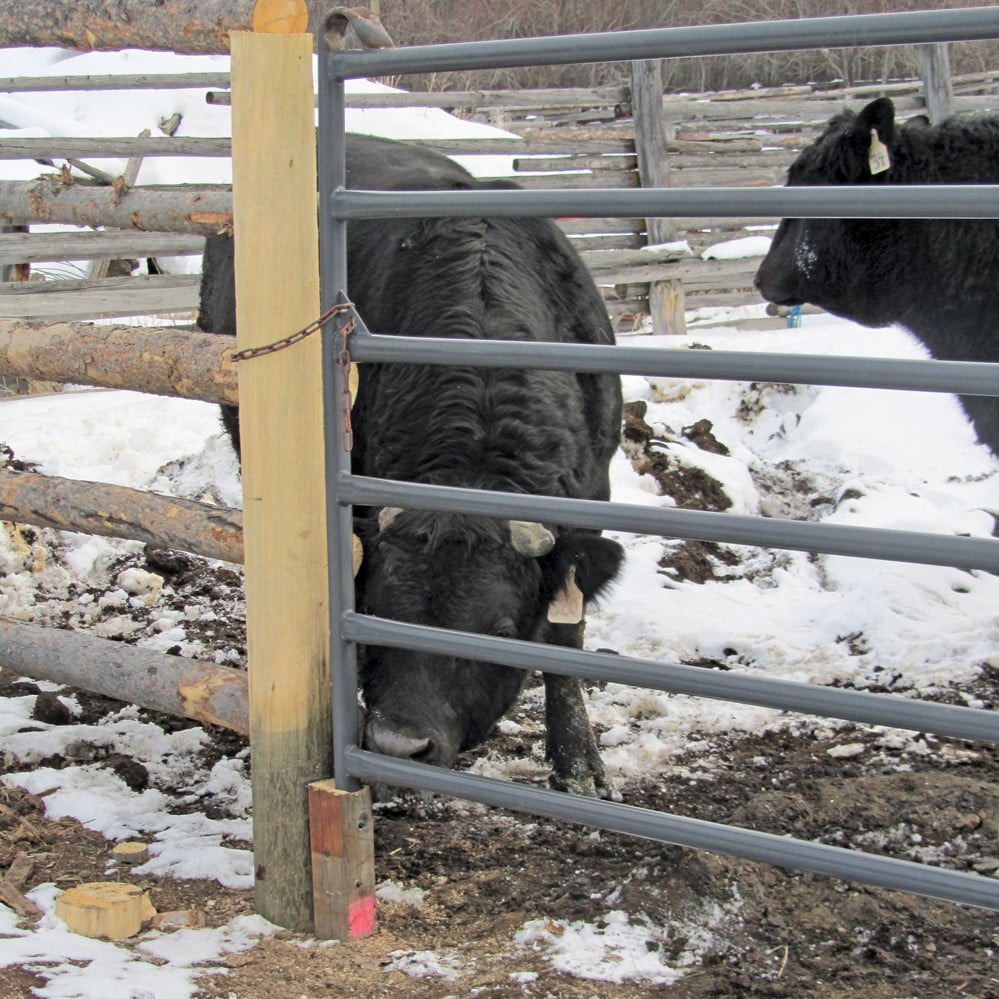 A support on the latch end of the gate will help to reduce sagging.