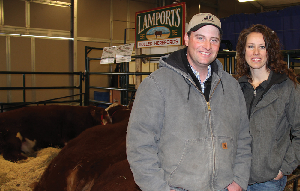 Brad and Christine Lamport run a 150-head purebred Hereford operation in Rocky View County just a few miles west of Balzac, Alta. They had three, two-year-old polled Hereford bulls at the 116th annual Calgary Bull Sale. Along with Herefords they also raise a few Speckle Park cattle. Along with the Calgary event and some private treaty they also bring bulls to the Lacombe Bull Sale — the 107th annual sale is coming up April 12, 2016.
