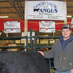 He’s not the biggest beef operator
in the country, but Kyle Francis, 24, says he is working on building his purebred Goodview Angus herd. Born and raised on the family farm at Indus, just east of Calgary, Francis says he started raising cattle when he was nine. Although he only has eight head, he is planning to take the proceeds from the sale of this long- yearling Black Angus bull and buy some bred heifers.