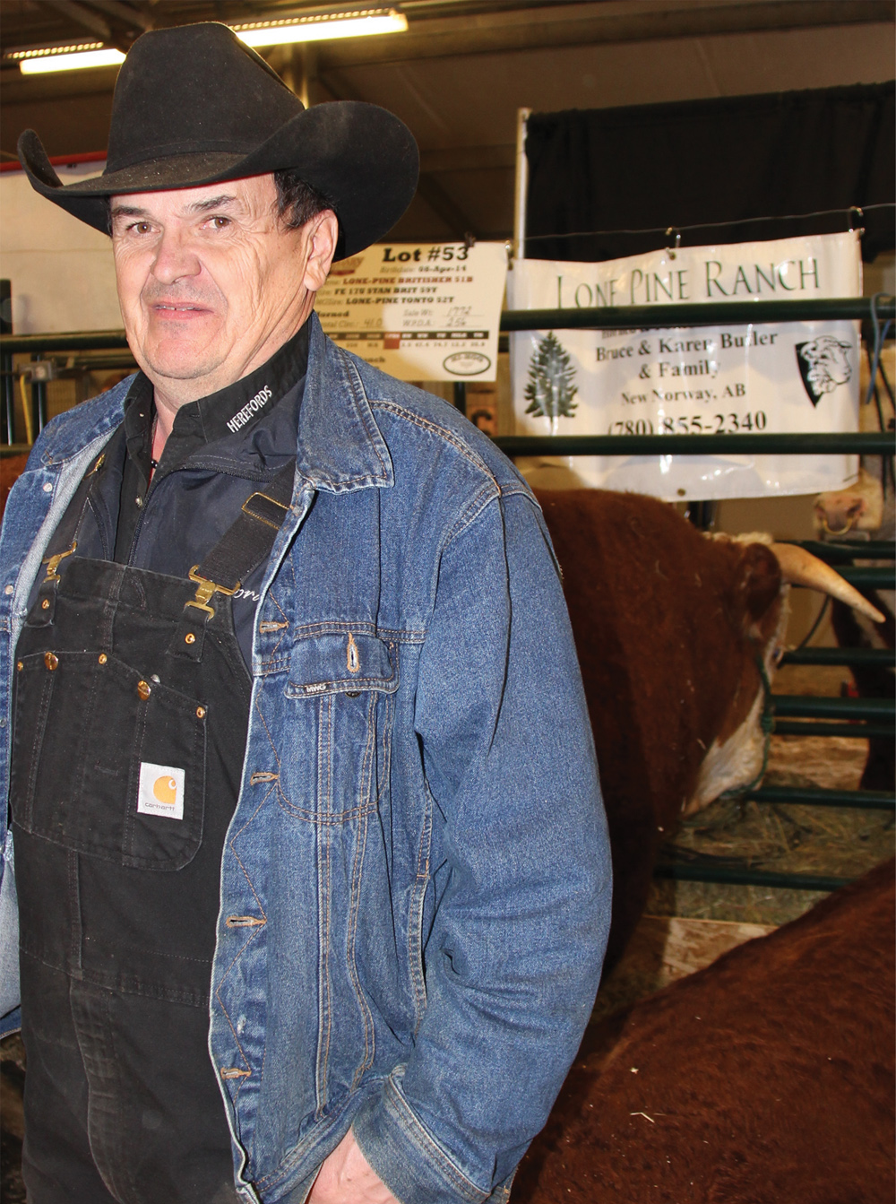 Bruce Butler, who along with his wife Karen operates Lone Pine Ranch, brought two coming-two-year old Hereford bulls to the Calgary Bull Sale. They run between 100 and 120 purebred cows on the farm at New Norway, just southeast
of Edmonton. It was his first time at the Calgary Bull Sale, although they have been showing and selling cattle at the Lacombe Bull Sale, coming up April 17, for about 20 years. Along with bulls they also sell replacement heifer.