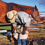 Horse owners can certainly look after basic hoof maintenance by rasping away superficial cracks and keeping the hoof edges smooth.