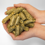 A sign painted on the side of the Premos 5000 prototype on display at Agritechnica claims it has already produced 530 tonnes of pellets.