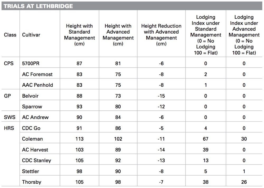 These changes in height and lodging rates were found on irrigated land at Lethbridge in 2015 (click image for larger view).