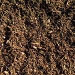 soil dirt