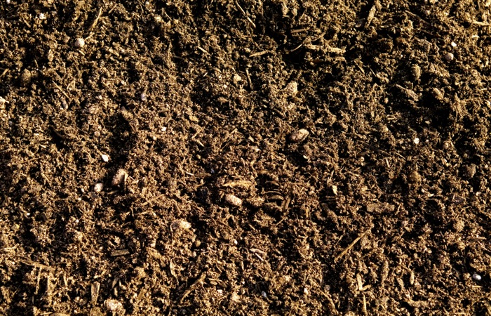 soil dirt