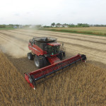 My neighbour, Chris Unrau, took this from his drone. I’m harvesting my very first crop (soybeans) on the land I rented.