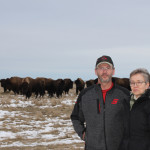 Saskatchewan farmers Les and Kathy Kroeger have been sold on bison for nearly 30 years.