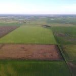 Farmland prices, on average, were up 12.4 per cent and 10.1 per cent in Manitoba and Canada, respectively, says Farm Credit Canada’s chief economist J.P. Gervais. The annual rise in farmland values is slowing, but still expected to be positive in 2016 so long farm cash receipts remain stable.