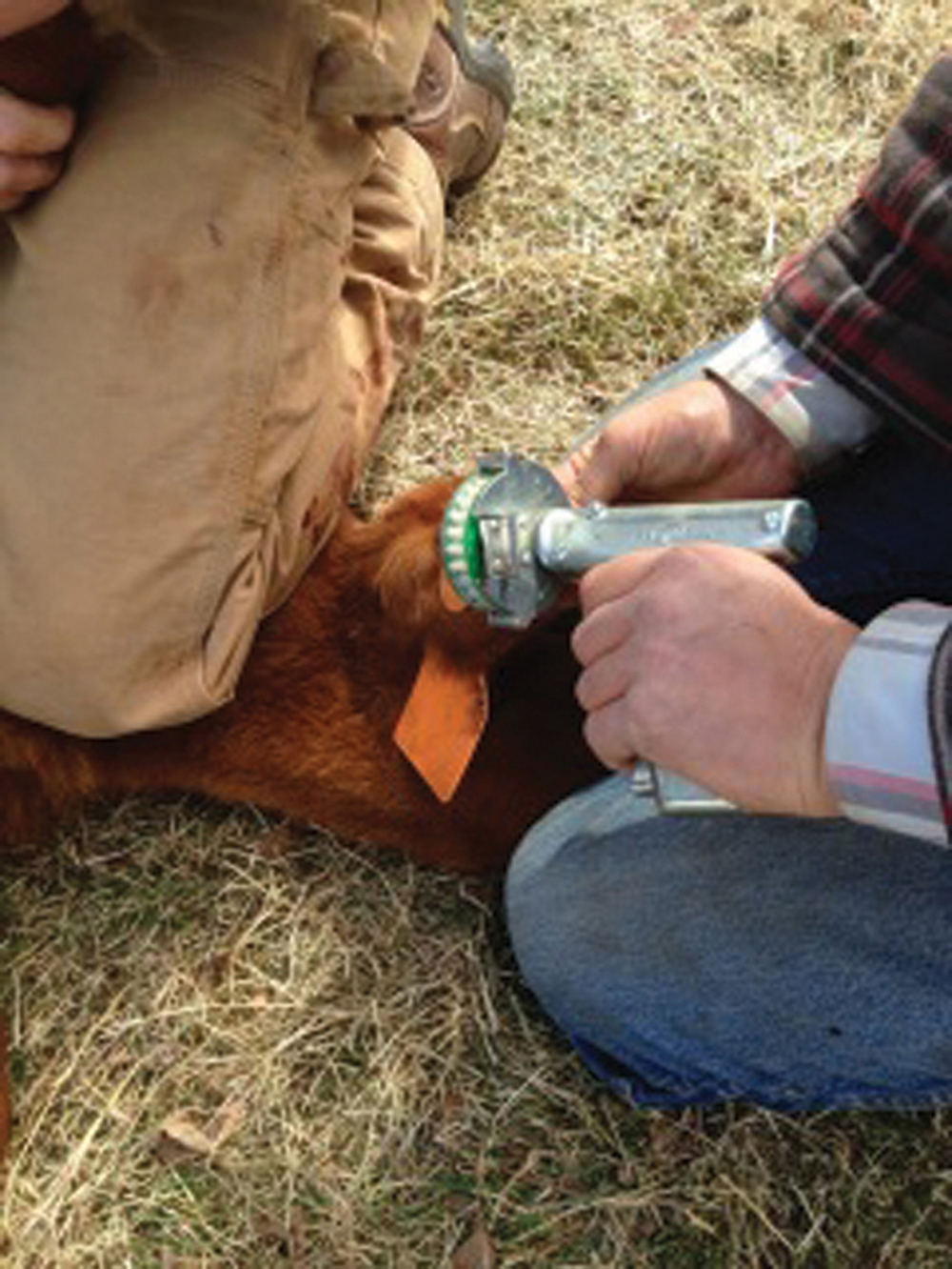Implants can really improve calf performance but proper application is important.