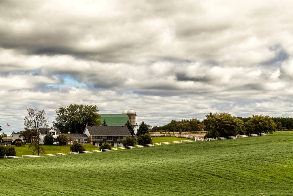 Farm