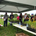 University of Saskatchewan soil scientist Jeff Schoenau brought along plants suffering from different types of nutrient deficiency, so farmers could compare the effects and be prepared to recognize them at home.