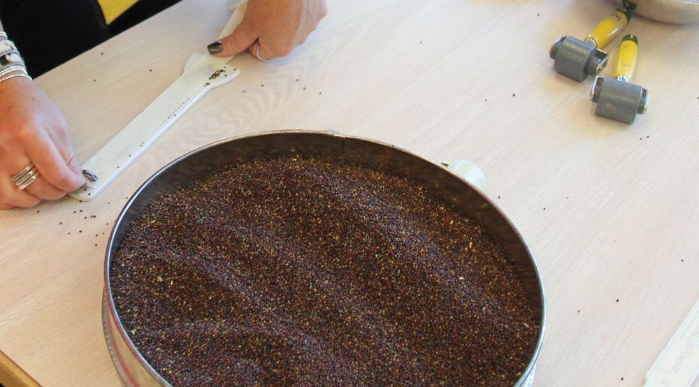 The conventional seed-count paddle and roller can be slow and a bit messy.
