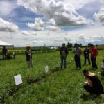 Saskatchewan’s provincial weed specialist, Clark Brenzil, described plots that had been intentionally sprayed with the wrong product or at the wrong time, so farmers and agronomists can avoid making those mistakes at home, or at least diagnose them if they do.