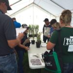 Agronomists were given quizzes to test their knowledge of the diseased plants on display.