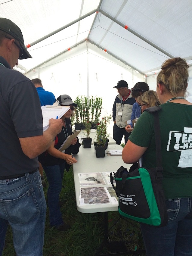 Agronomists were given quizzes to test their knowledge of the diseased plants on display.