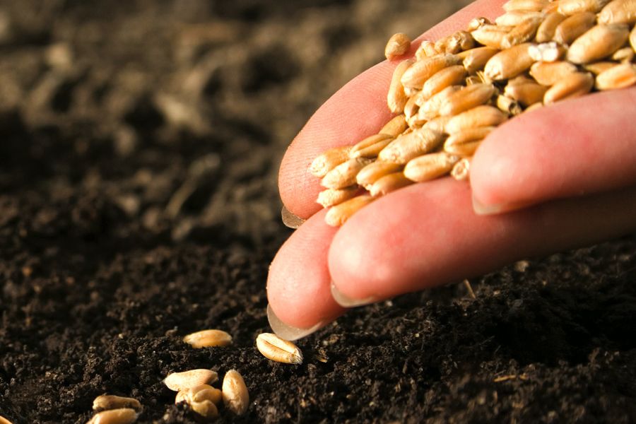 Learning to make the tough calls