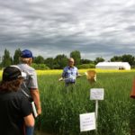 Scott Hartley provincial insect and vertebrae pest specialist, demonstrated the proper use of sweep nets. Make sure the area you sweep is undisturbed: sweep in front of yourself or to the side.