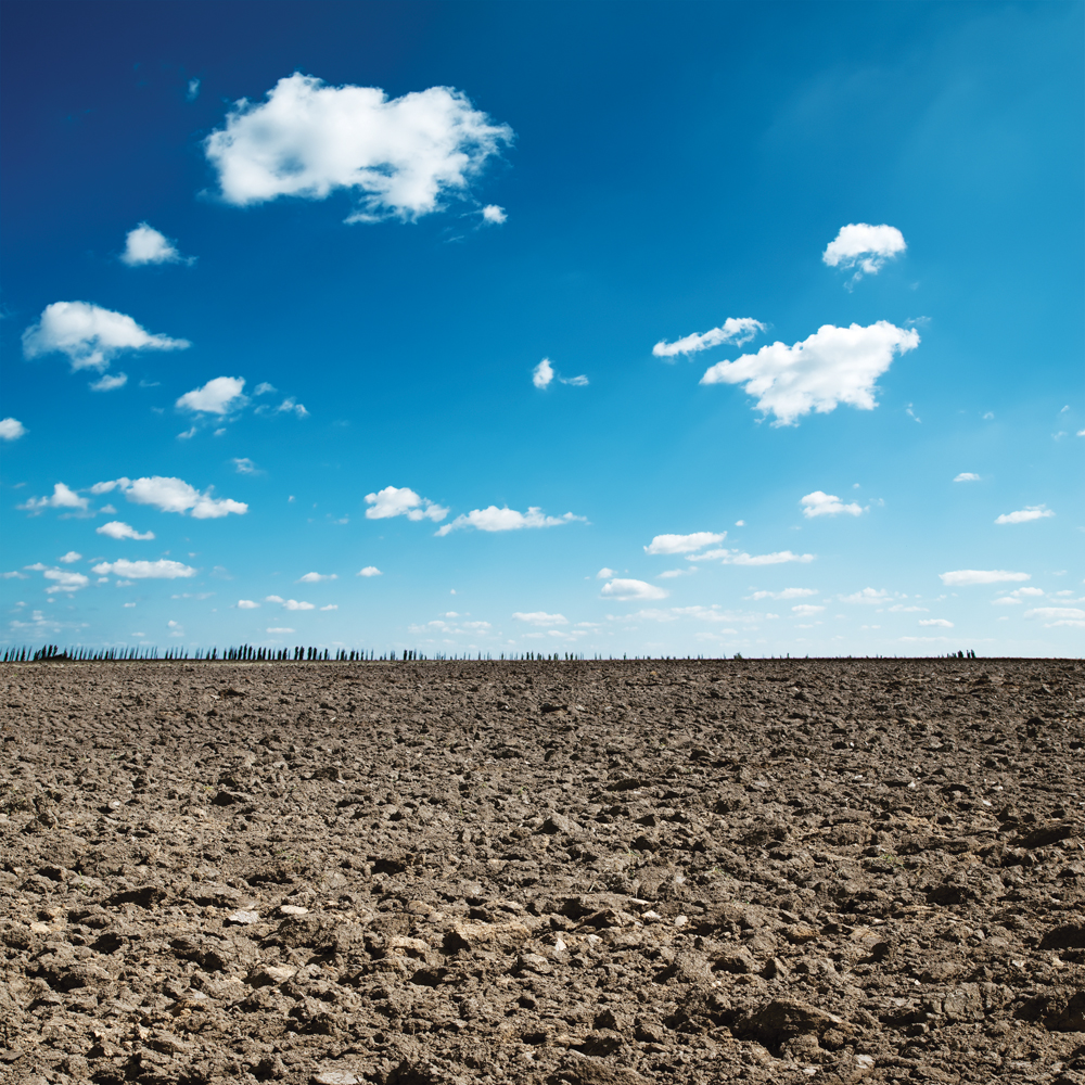 Building up the soil in your fields