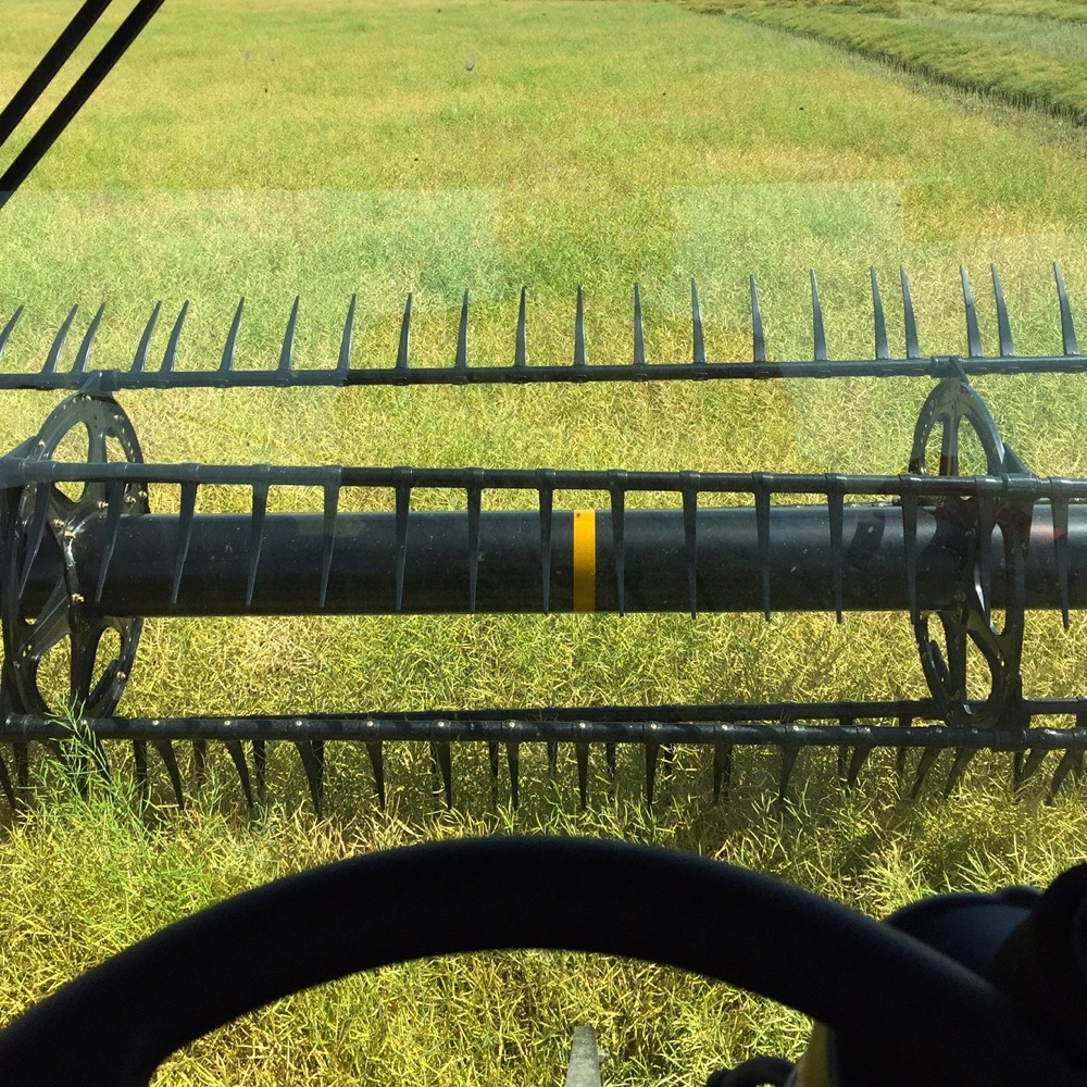 Harvest starts to hit the bin, progress on par with five-year-average