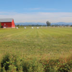 Ontario realtor Murray Gibbons says we’ll see some British farmers relocating to Canada after Britain leaves the European Union.