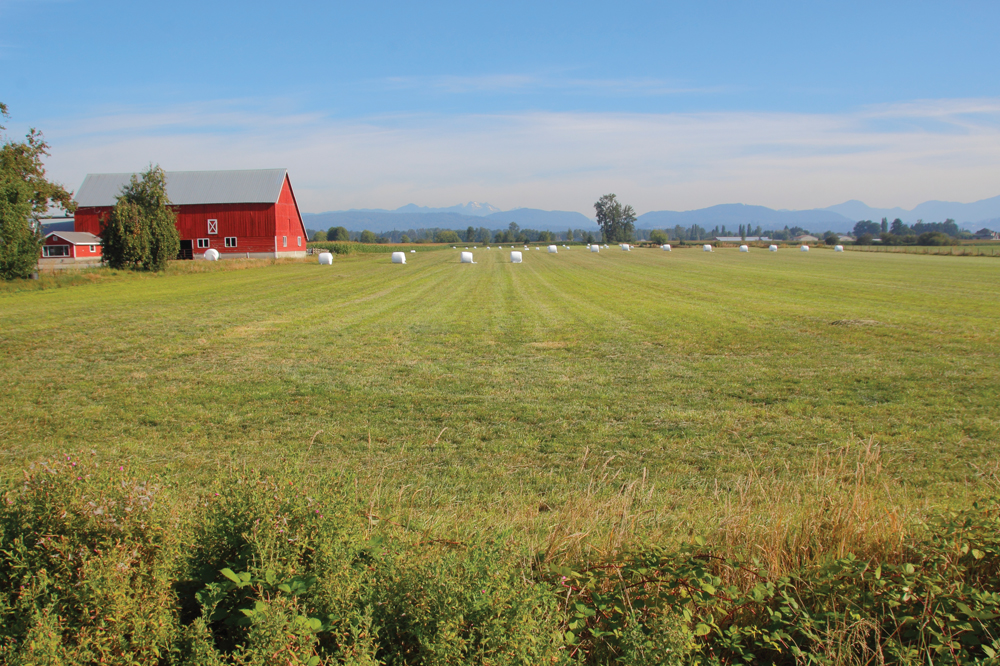 Ontario realtor Murray Gibbons says we’ll see some British farmers relocating to Canada after Britain leaves the European Union.