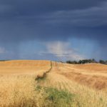 Near Livelong, in NW Sask.