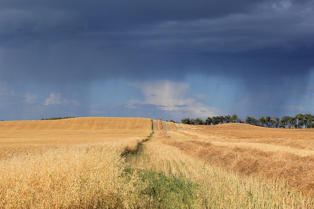 Near Livelong, in NW Sask.