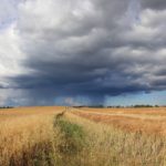 Near Livelong, in NW Sask.