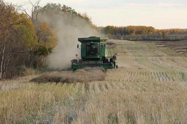 Photos from a Saskatchewan harvest