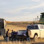 Leo Millard horses around with his granddaughter, Julianna, while Wanda Millard unpacks harvest supper and hired man Myron Liptek looks on.