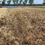 Designed to be effective in stubble cultivation, the Heliodor 9 can leave a level field surface after each pass.