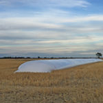 Alberta Ag found grain bag storage to be the most expensive of the options studied. However, it is a good solution for farmers who only need temporary storage.