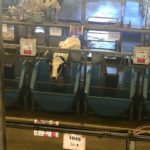 A dairy cow chows down at the Rayner Dairy Research and Teaching Facility. Some cows are assigned their own feed bins. An RFID reader gives the cow access when she approaches her own bin. However, some cows figure out how to game the system by sneaking past the gate when the rightful cow moves away from her bin. Those sneaky cows aren't in the personalized feed bin area.