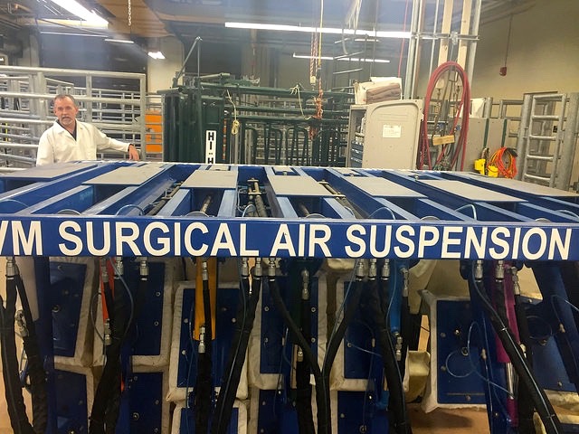 Dr. John Campbell shows off the vet school's tilt table for cattle. The current table is based on an original built by a Humboldt farmer.