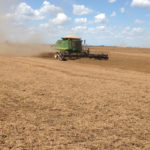 This is my good neighbour Iver Johnson with his 9770 and MacDon header cutting peas on the farm of another good neighbour Curtis Block near Dundurn, Sask., on August 16, 2016. The crop yielded 50 bushels per acre of of beautiful white peas. The MacDon header is a real cutting machine and Iver made good time. Curtis and Iver work together and it is a great thrill for this old fossil to watch it all happen. During harvest, Iver traded up to an S 680, so now they have two S 680s at work.