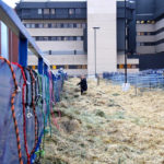 Marina Rasmussen of Innisfail, Alta., working hard at the tie-outs on Tuesday morning.