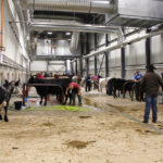 The wash stalls were full on Tuesday morning at Agribition.