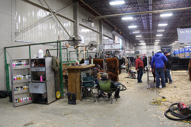 Behind the scenes at the Canadian Western Agribition.