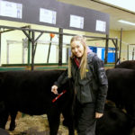 Teresa Mann, general manager for Lakeland College's purebred herd, grooming a heifer.
