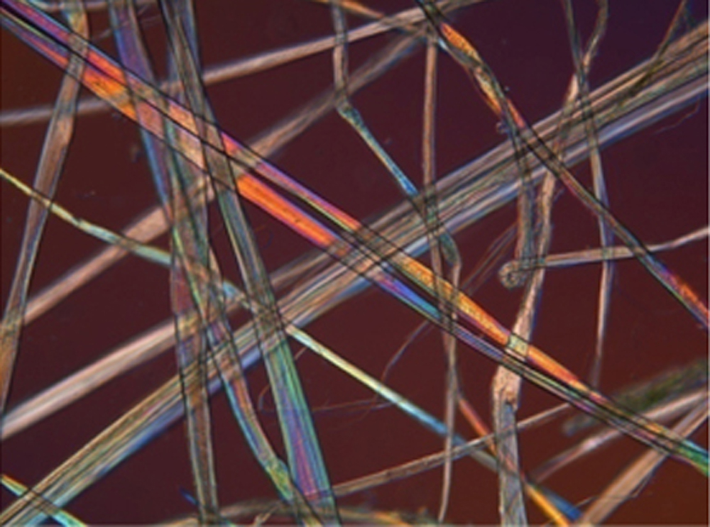 By weight, flax fibres are stronger than steel.