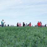 Can you skip inoculant?