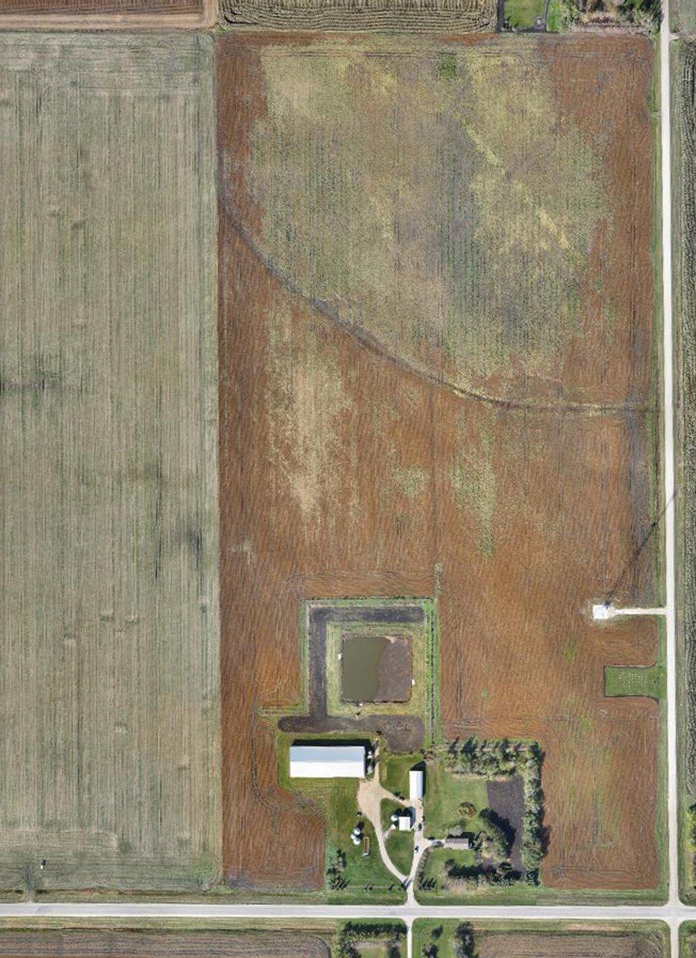 Mark’s problem area was located in the north 30 acres of an 80-acre field. In the affected area, only one plant was present per 15 feet of row on average. Neighbouring corn and canola fields were healthy. 