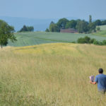 A meadow is inspected to see if it fulfills the requirements for the subsidy program — diversity of plant species.