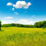 The kindness of others is often a factor in transactions like land rental.