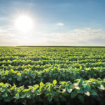 Planning large-scale agricultural landscapes requires a lot of organization and co-ordination.