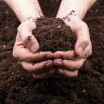 When it comes to phosphorus and potassium, farmers and researchers speak two different languages.