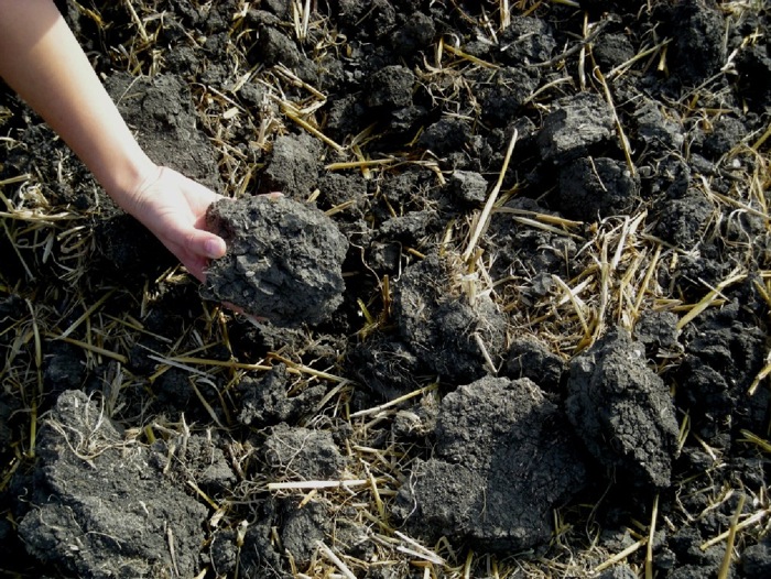 Soil nutrients are in deficit after 2016