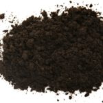 Managing the carbon crop